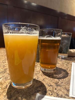 The Thirsty Turtle by null