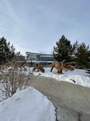 Royal Tyrrell Museum by null