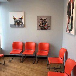 United Veterinary Center - Beautiful and comfortable waiting area