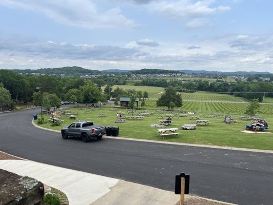 Arrington Vineyards by null