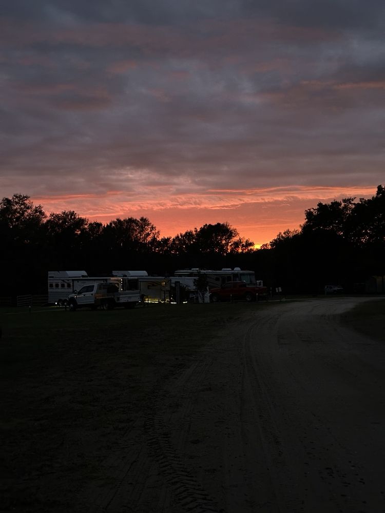 Black Horse Resort Ranch - equestrian in Umatilla, FL