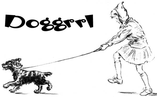 DogGrrl - pet boarding facility in San Francisco, CA