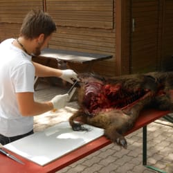 Gasthaus-Pension Waldhaus - Küchenchef zerlegt Wildschwein
