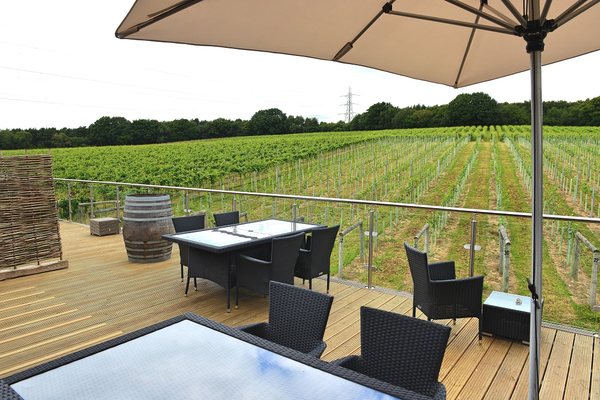 Bolney Wine Estate by null