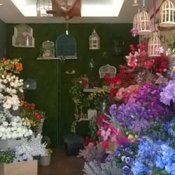 Trendy Home - Flores, jaulas y muchos colores