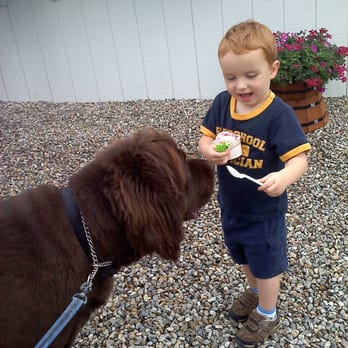 Charlie's Olde Tyme Creamery - My son feeding our 'Bison' some yummy strawberries n cream - Ice Cream & Frozen Yogurt Near Me - Peterborough, New Hampshire Charlie's Olde Tyme Creamery - My son feeding our 'Bison' some yummy strawberries n cream - Ice Cream & Frozen Yogurt Near Me - Peterborough, New Hampshire