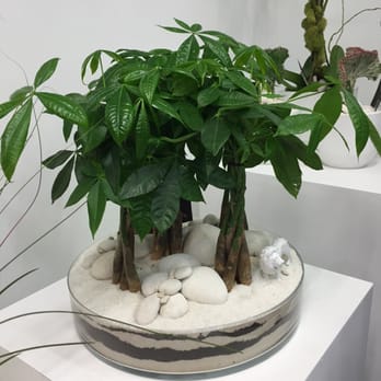 Plant The Future - Art Galleries Near Me - Miami, Florida Plant The Future - Art Galleries Near Me - Miami, Florida