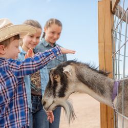 Brush Creek Ranch - Family-Friendly Resort with All-Inclusive Kids' Program
