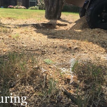 Big Tex Tree & Landscaping - a tractor and a tree stump - Tree Services Near Me - Waxahachie, Texas Big Tex Tree & Landscaping - a tractor and a tree stump - Tree Services Near Me - Waxahachie, Texas