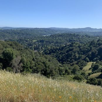 Briones Regional Park - Parks Near Me - Martinez, California Briones Regional Park - Parks Near Me - Martinez, California