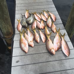 Diamond Fishing Charters - Our catch!