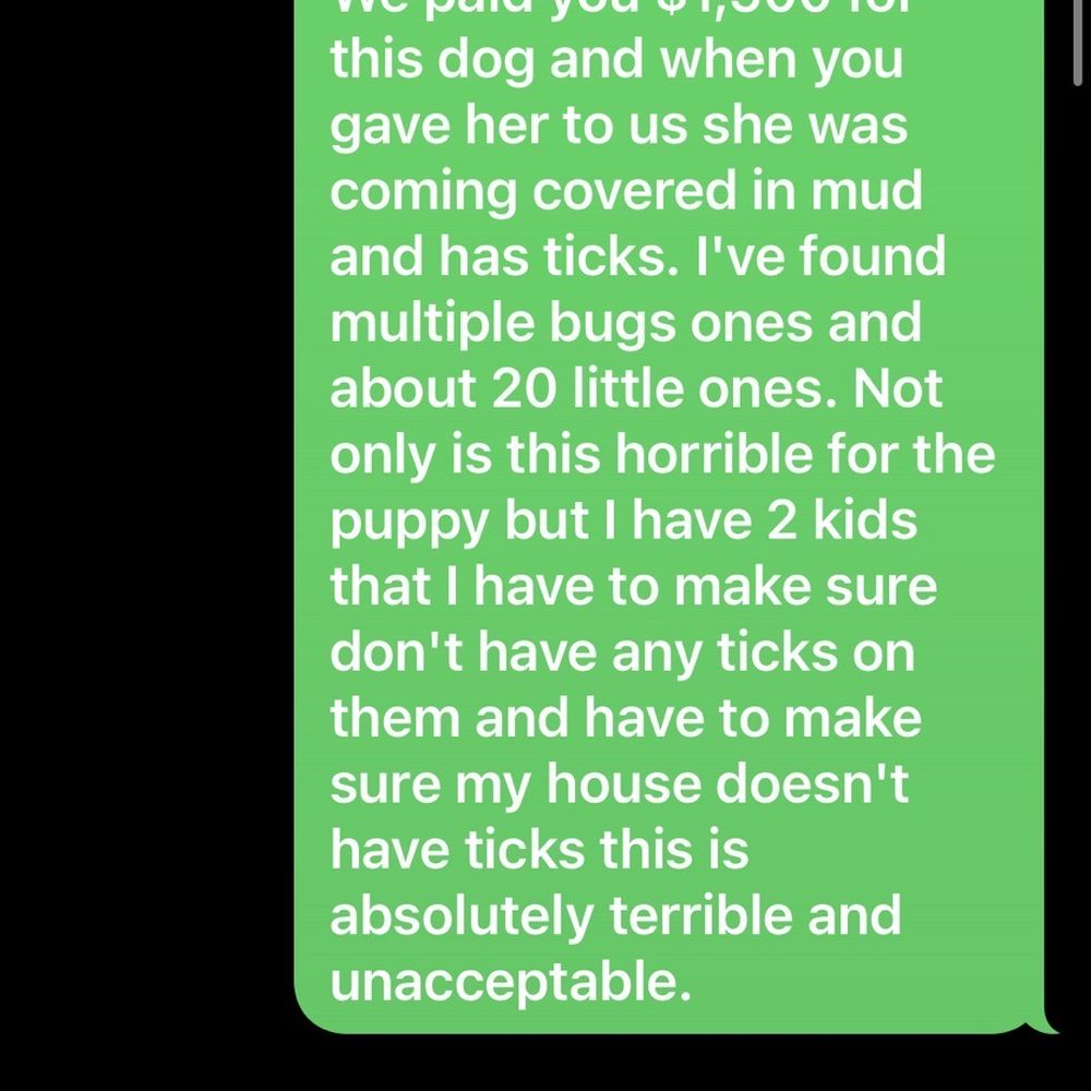 Ssj2Kennels - This is the text interaction. - Pet Breeders Near Me