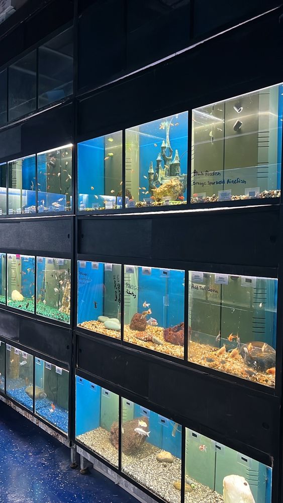 Petworld Image