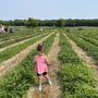 Photo of Lorence's Berry Farm