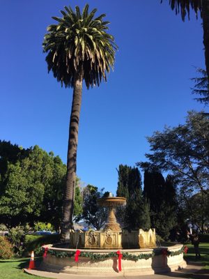 Viña del Mar Park by null