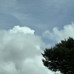 Port of Siuslaw Campgrounds and Marina - Rare blue sky in stormy camping weekend