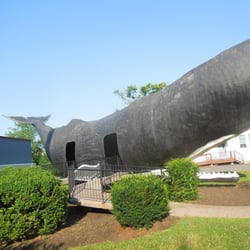 Conny the Whale Statue