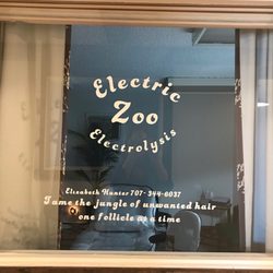 Electric Zoo Electrolysis - This is where the magic happens.