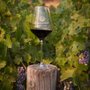 Photo of Hindsight Wines