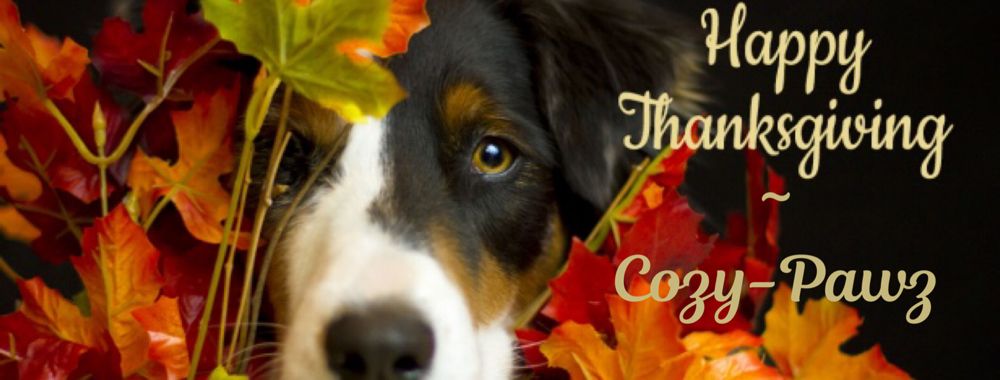 Cozy Pawz - pet boarding facility in Romeoville, IL