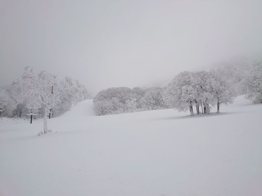 Zao Onsen Ski Resort by null