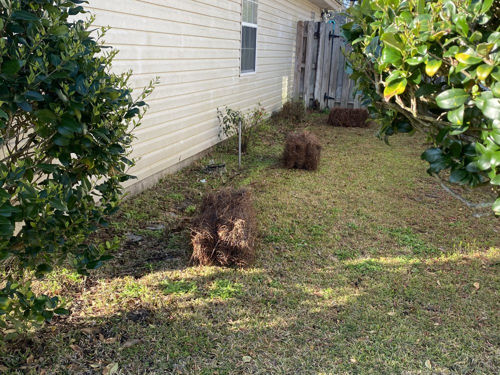 The Royal Treatment - tree service in Savannah, GA