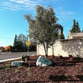 Grover Landscape Services - Small Focal Point - BIG IMPACT!

Renovation team just finished up a small design-build job at the corner of an intersection. - Tree Services Near Me - Modesto, California