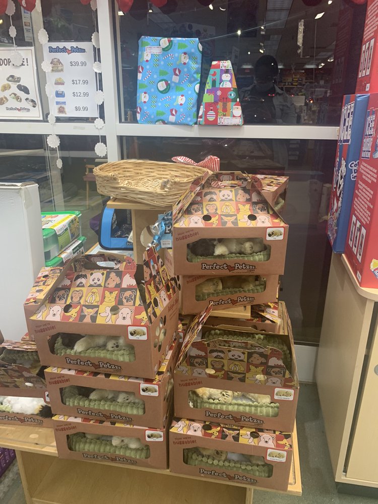 LEARNING EXPRESS TOYS Updated August 2024 16 Photos & 16 Reviews