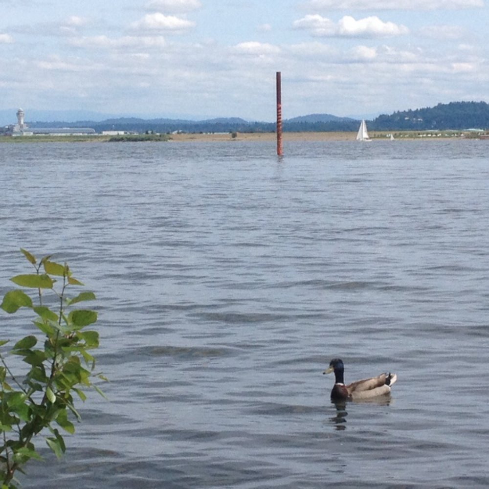 Marine Park - PDX control tower off left in distance - Beaches Near Me - Vancouver, Washington Marine Park - PDX control tower off left in distance - Beaches Near Me - Vancouver, Washington