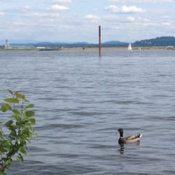 Marine Park - PDX control tower off left in distance