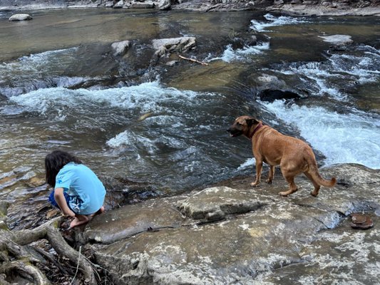Fall Creek Falls by null
