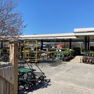 McCammon’s Irish Market on Yelp