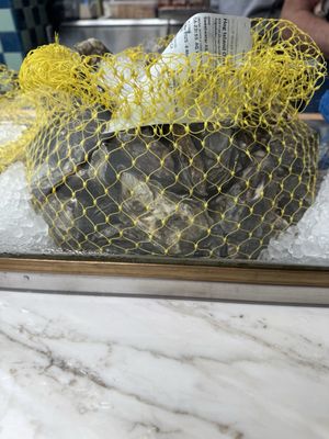 Clark's Oyster Bar - Montecito by null