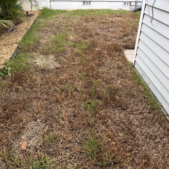 Abundant Lawn - Lawn Services Near Me