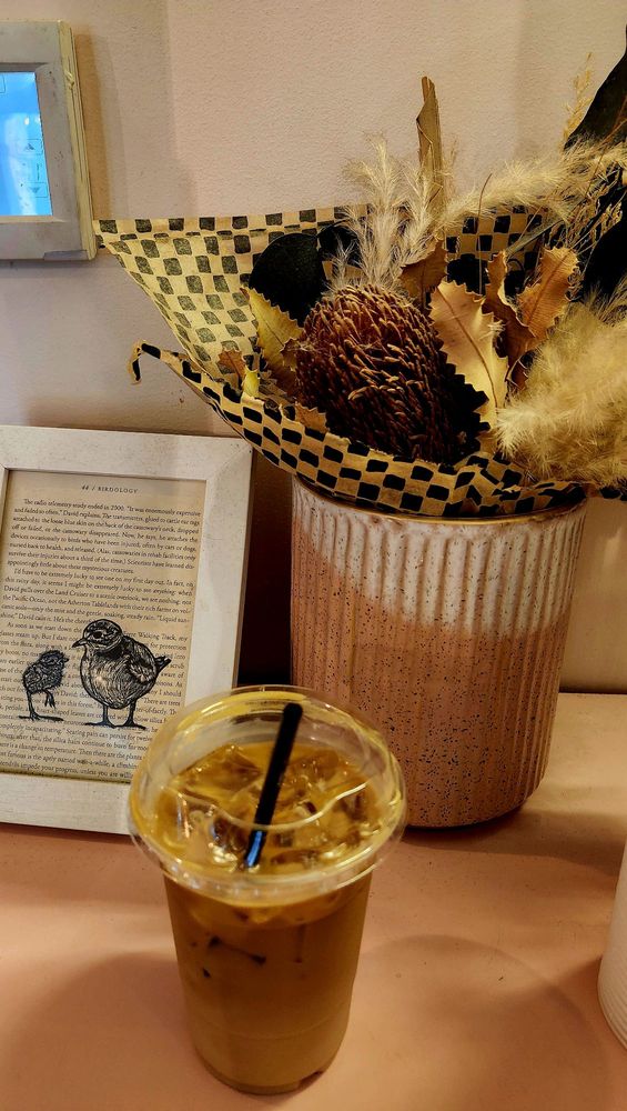 Sleeping Bird Coffee