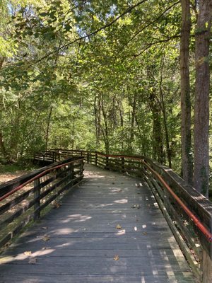 Cascade Springs Nature Preserve by null