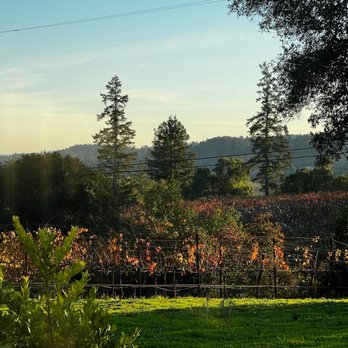 Bella Vineyards & Wine Caves - Dry Creek valley - Wineries Near Me - Healdsburg, California Bella Vineyards & Wine Caves - Dry Creek valley - Wineries Near Me - Healdsburg, California