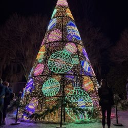 Burden Museum & Gardens - Louisiana Lights decorations