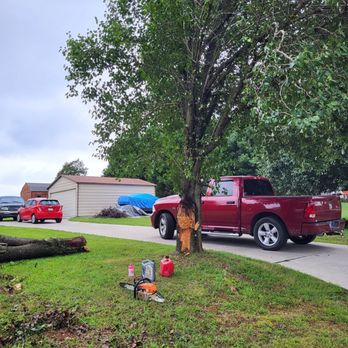 Antonio's Tree Service - Tree Services Near Me Antonio's Tree Service - Tree Services Near Me