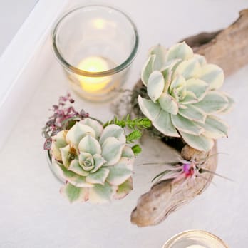 Terra Malia Designs - Event Planning & Services Near Me Terra Malia Designs - Event Planning & Services Near Me