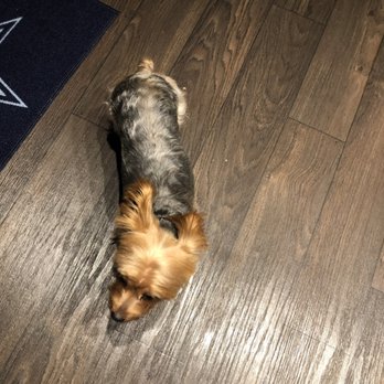 PetSmart - Pet Stores Near Me - Austin, Texas
