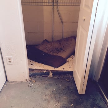 Weldon Wildlife Removal - Allegedly, Weldon Wild Life must have sprayed the antimicrobial over the feces and is claiming it's sanitized!!!! - Wildlife Control Near Me Weldon Wildlife Removal - Allegedly, Weldon Wild Life must have sprayed the antimicrobial over the feces and is claiming it's sanitized!!!! - Wildlife Control Near Me
