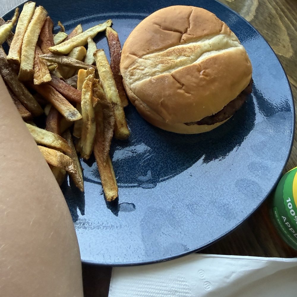 Todo Mexico - Kids burger and fries, fries looked green and were soggy - Mexican Near Me - Snohomish, Washington