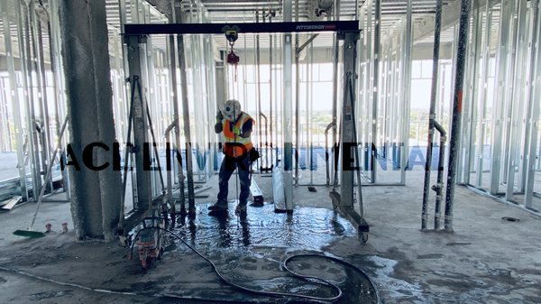 Ace Environmental Management