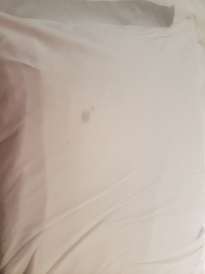 Andaz Ottawa ByWard Market, by Hyatt by null