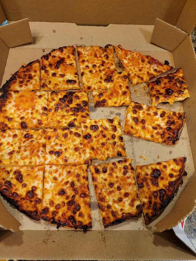 Domino's Pizza Logo