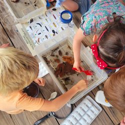 The Village Microschool