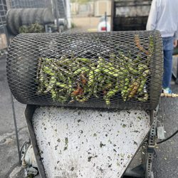Chile Konnection Produce - Roasting this Chiles