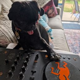 Our Little DJ!