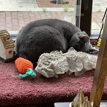 Spiritually Rooted - Cat sleeping - Spiritual Shop Near Me - North Tonawanda, New York Spiritually Rooted - Cat sleeping - Spiritual Shop Near Me - North Tonawanda, New York